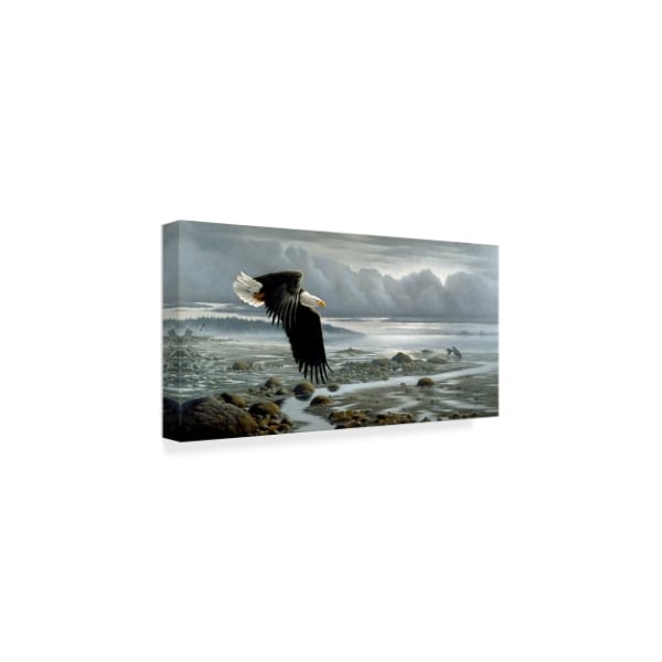 Wilhelm Goebel 'Low Tide Bald Eagle' Canvas Art,16x32